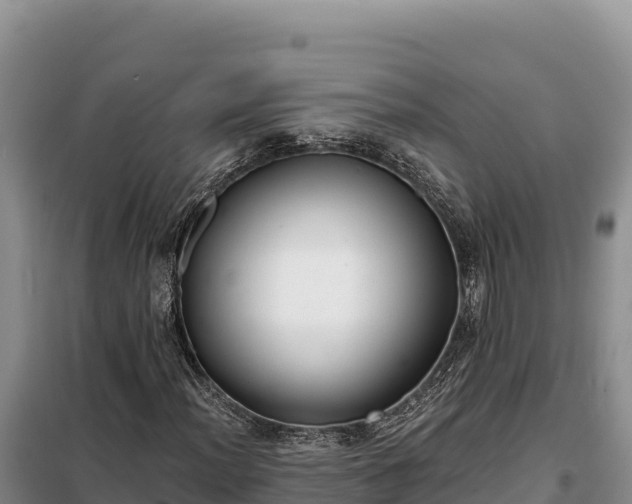 X0000099321012200805091036