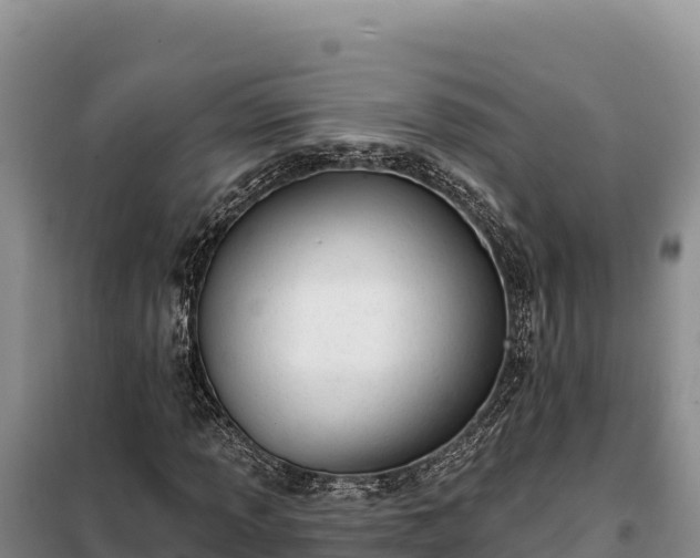 X0000099321013200805091036