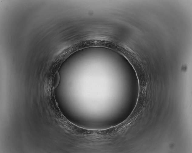 X0000099321014200805091036