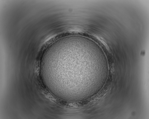 X0000099321015200805091036