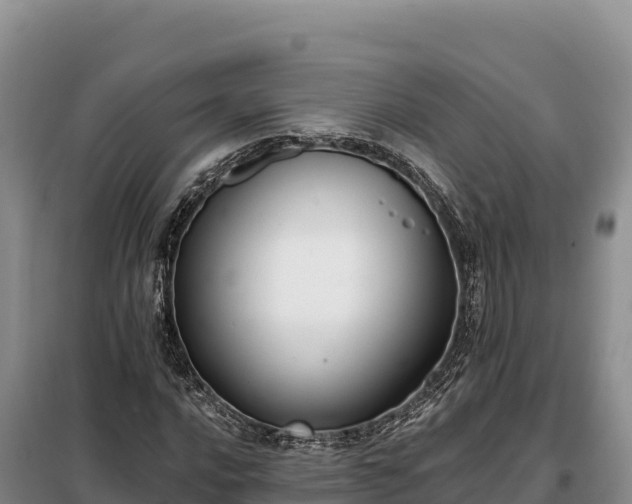 X0000099321016200805091036