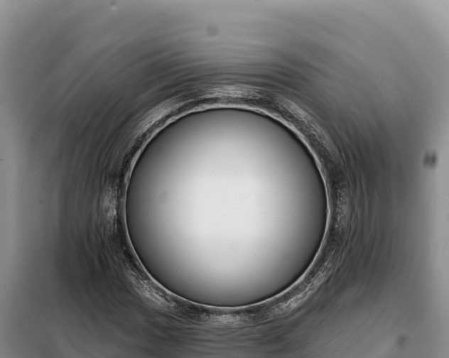 X0000099321017200805091036