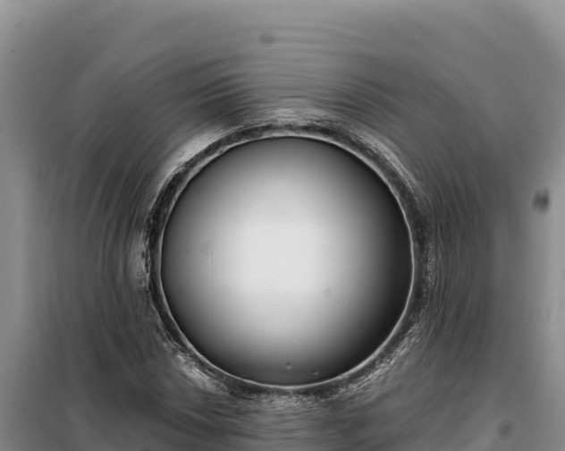 X0000099321018200805091036