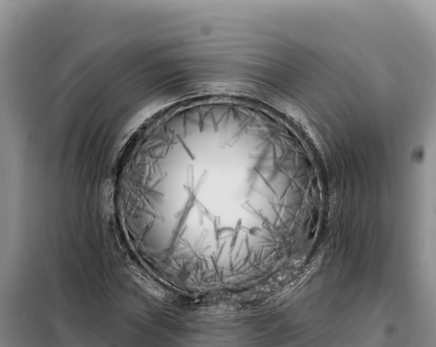 X0000099321019200805091037