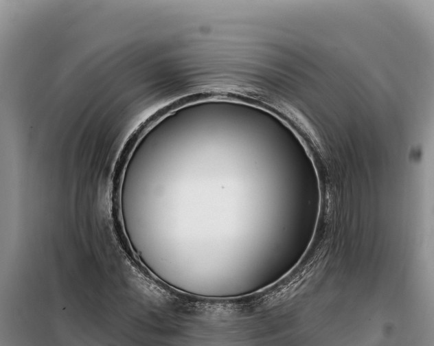 X0000099321020200805091037