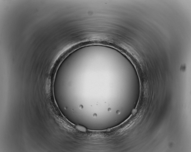 X0000099321021200805091037