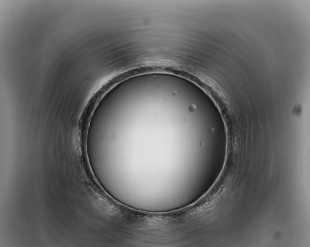 X0000099321022200805091037