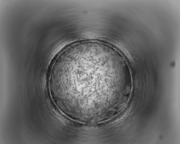 X0000099321023200805091037