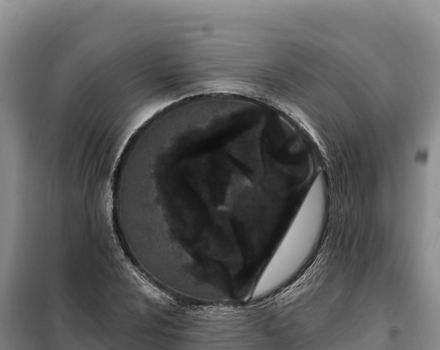 X0000099321024200805091037