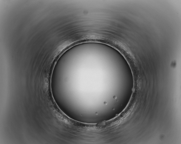 X0000099321025200805091037