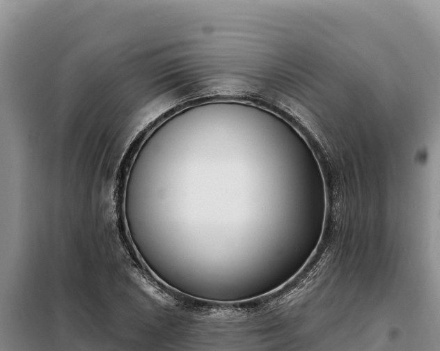 X0000099321026200805091037