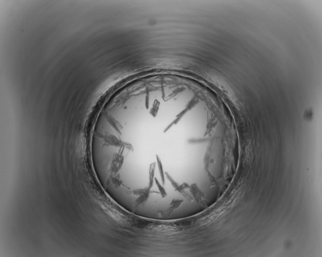 X0000099321027200805091037