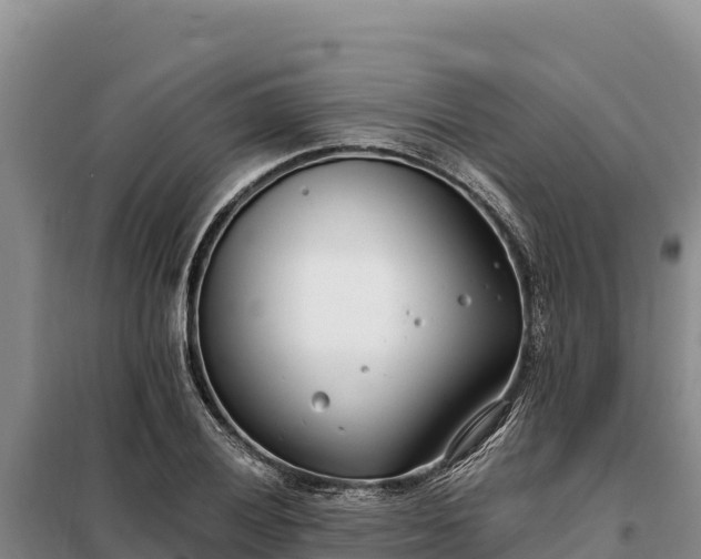 X0000099321028200805091037