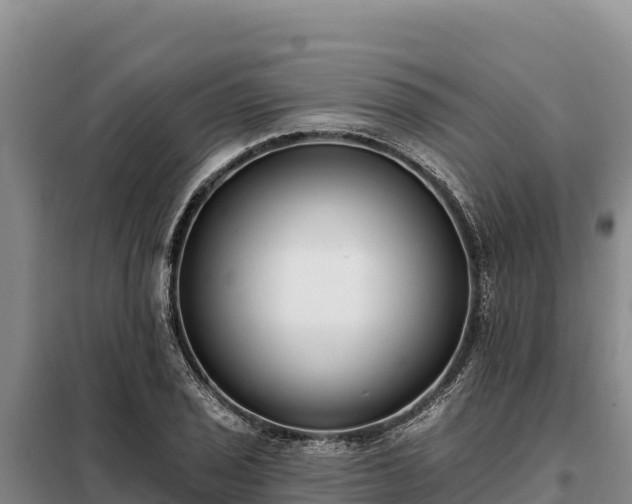 X0000099321029200805091037