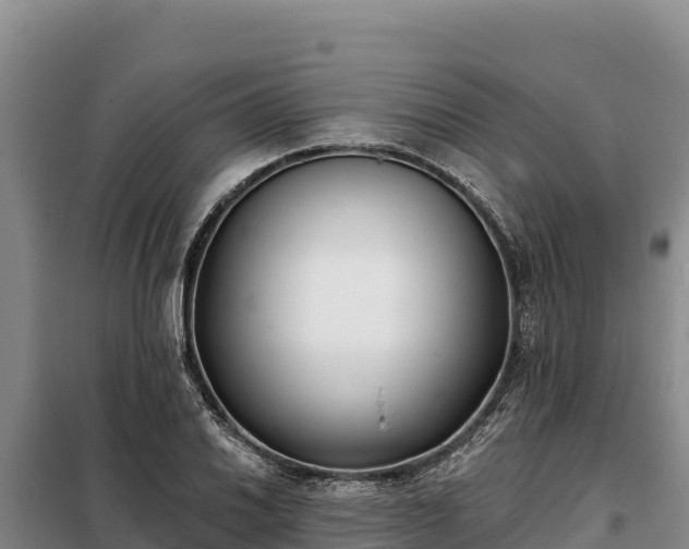 X0000099321030200805091037