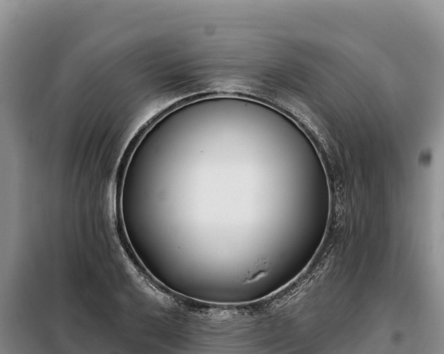 X0000099321032200805091037