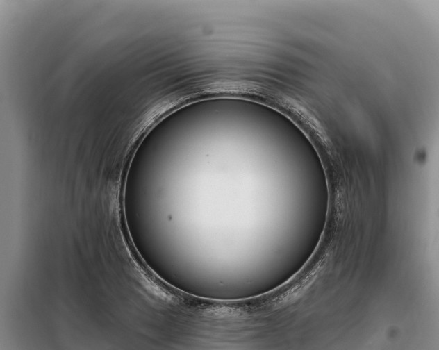 X0000099321033200805091037