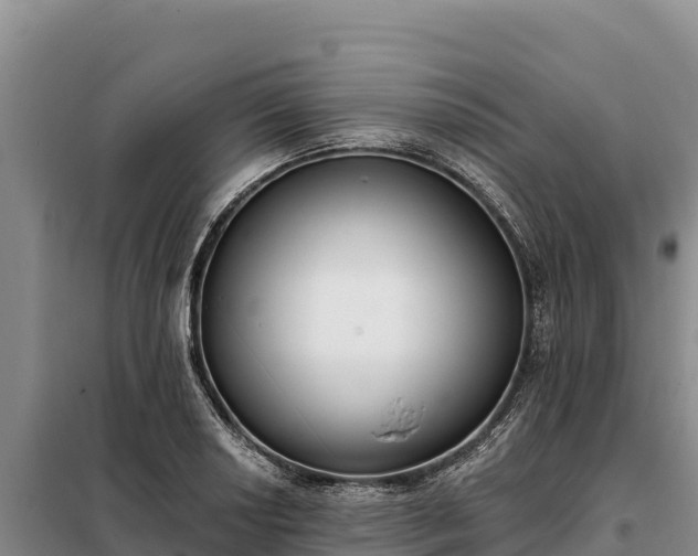 X0000099321034200805091037