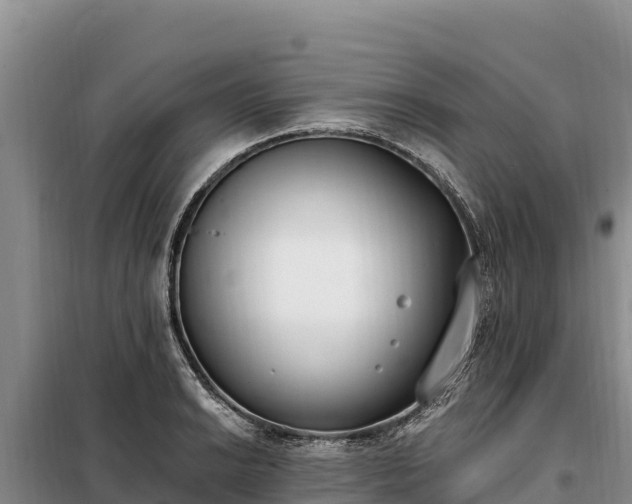 X0000099321038200805091037