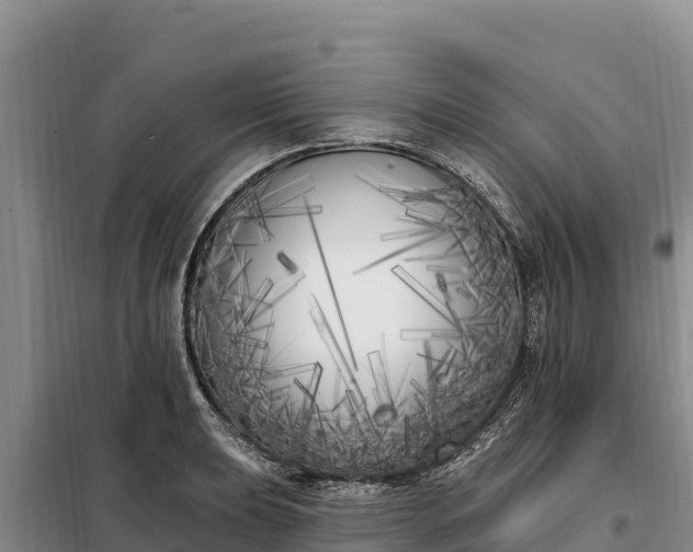 X0000099321039200805091037