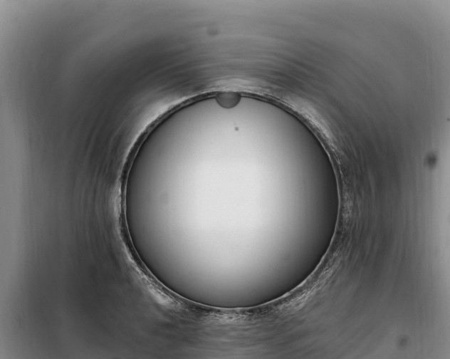 X0000099321040200805091037