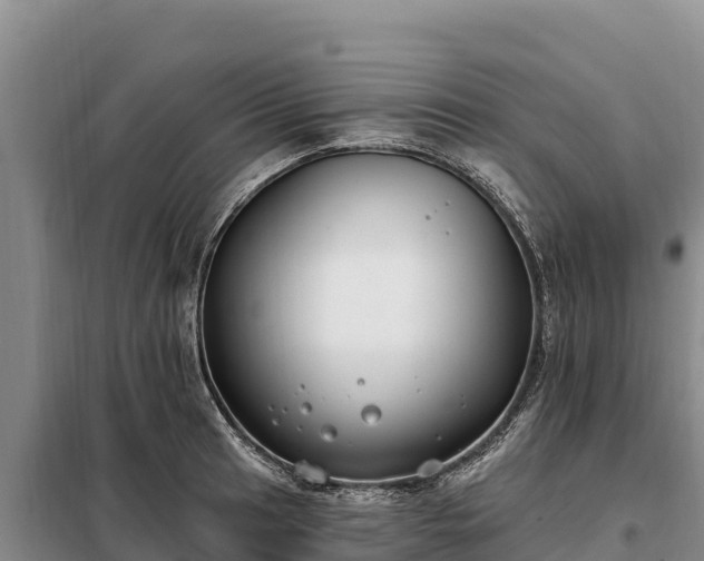 X0000099321041200805091037