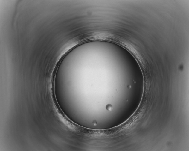 X0000099321042200805091037