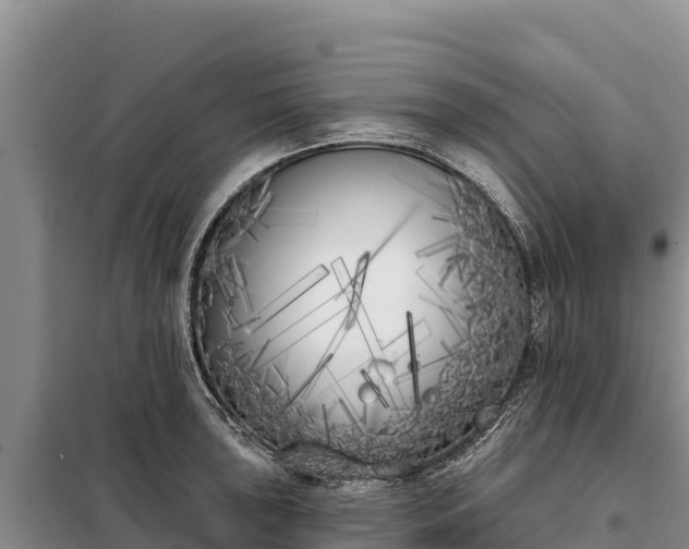X0000099321043200805091037