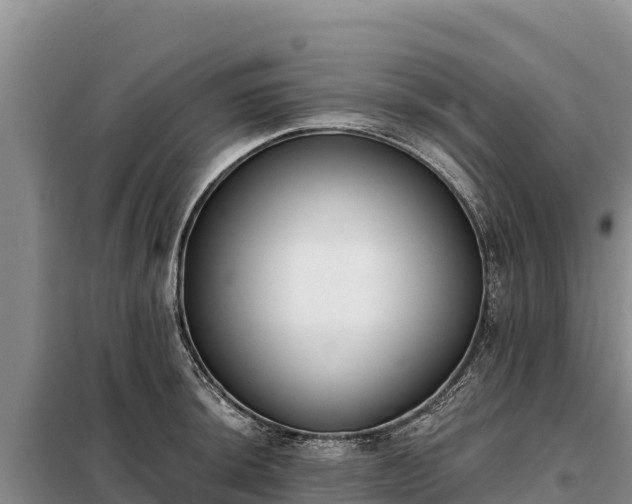 X0000099321044200805091037