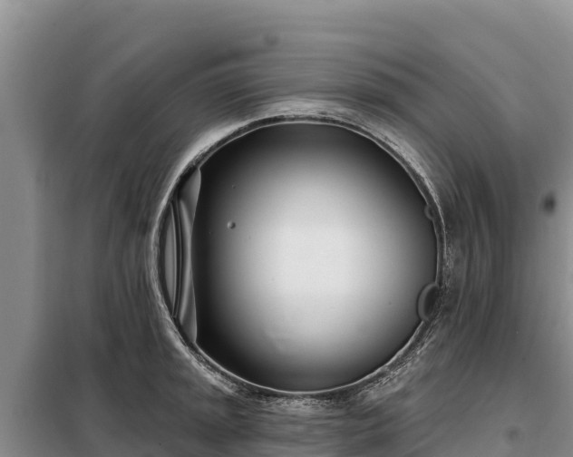 X0000099321045200805091037