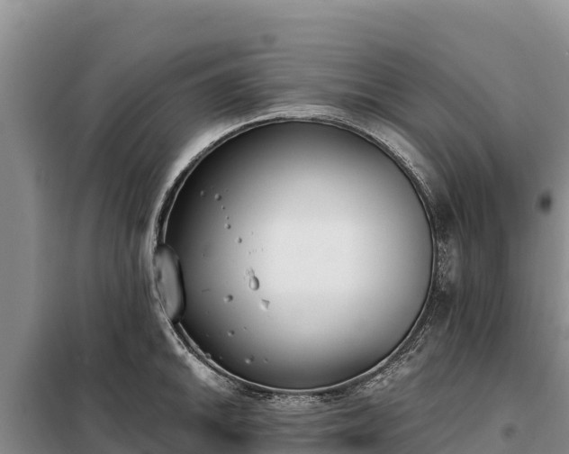 X0000099321046200805091037