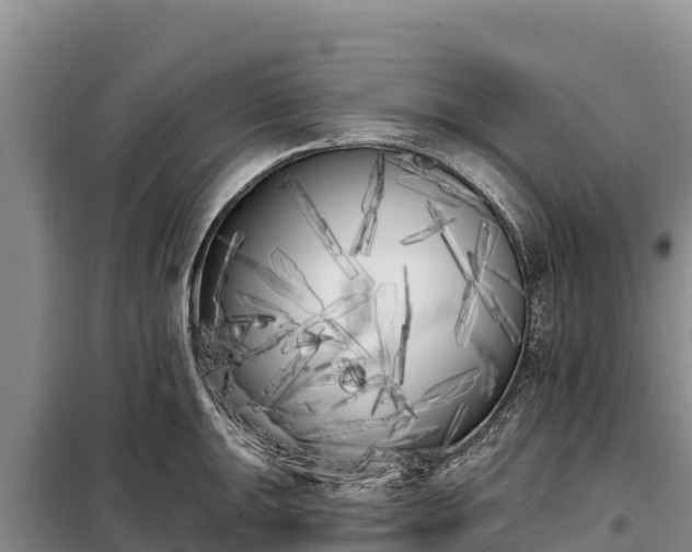 X0000099321047200805091037