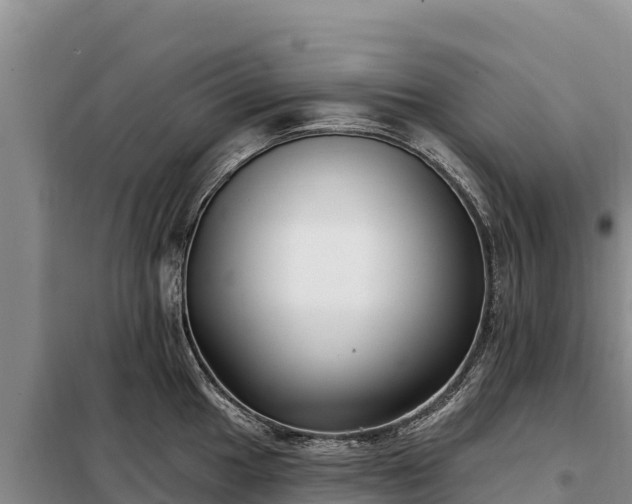 X0000099321049200805091037