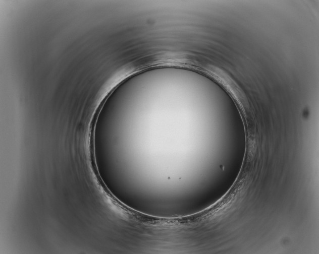 X0000099321050200805091037