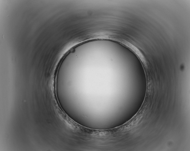 X0000099321051200805091037