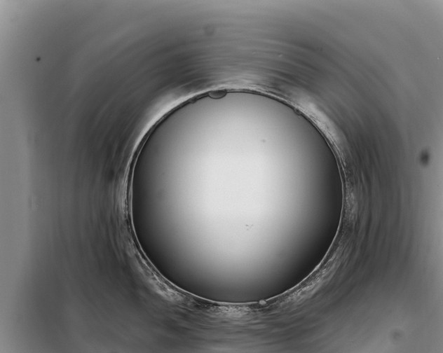 X0000099321052200805091037