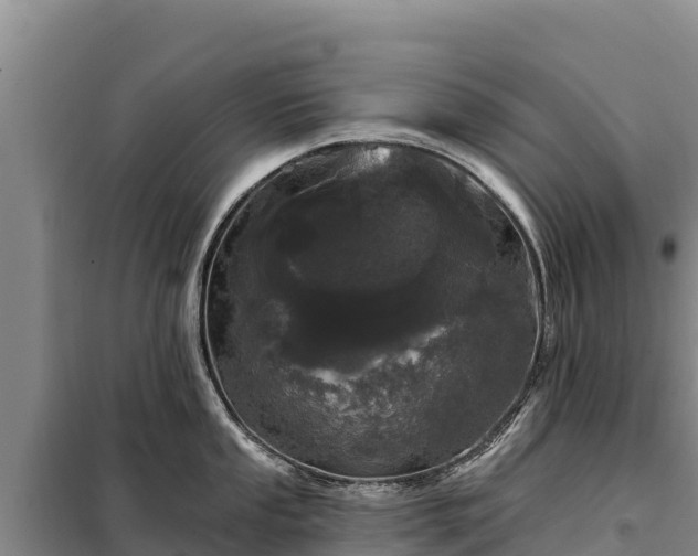 X0000099321053200805091037