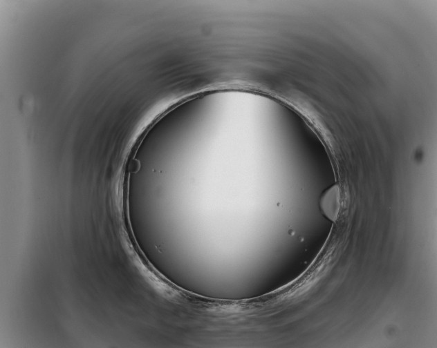 X0000099321054200805091037