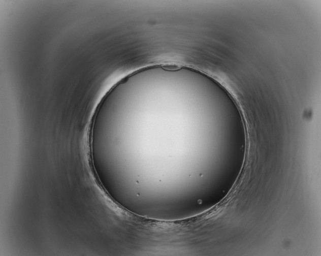 X0000099321056200805091037