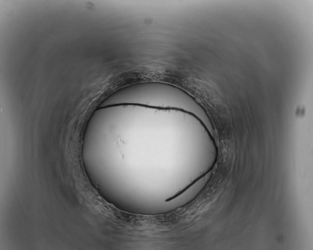 X0000099321057200805091036