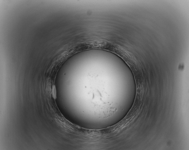 X0000099321058200805091036