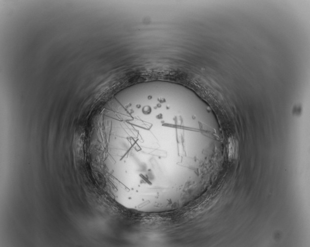 X0000099321059200805091036