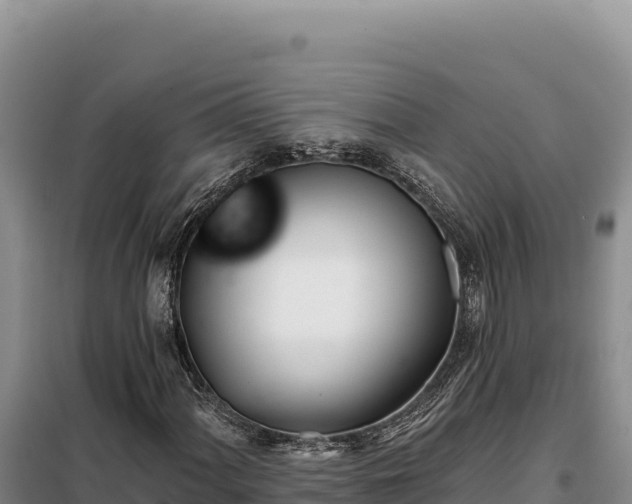 X0000099321060200805091036