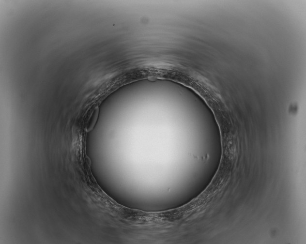 X0000099321061200805091036