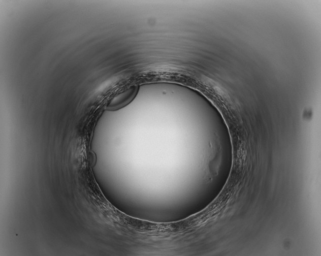 X0000099321062200805091036