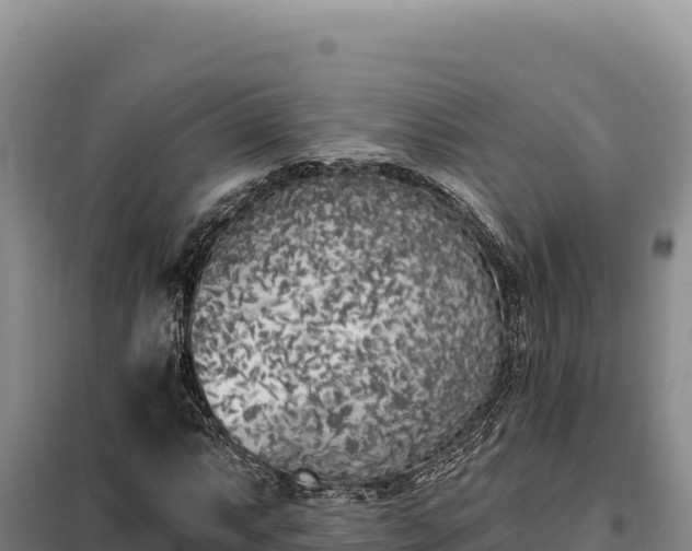 X0000099321063200805091036