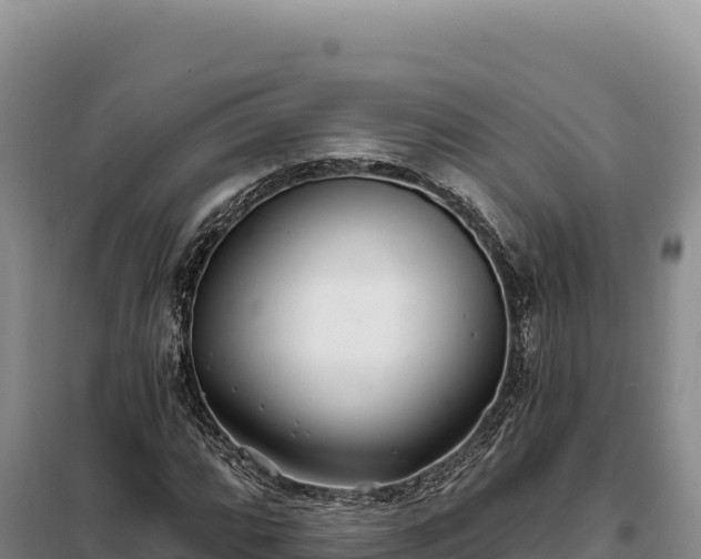 X0000099321064200805091036