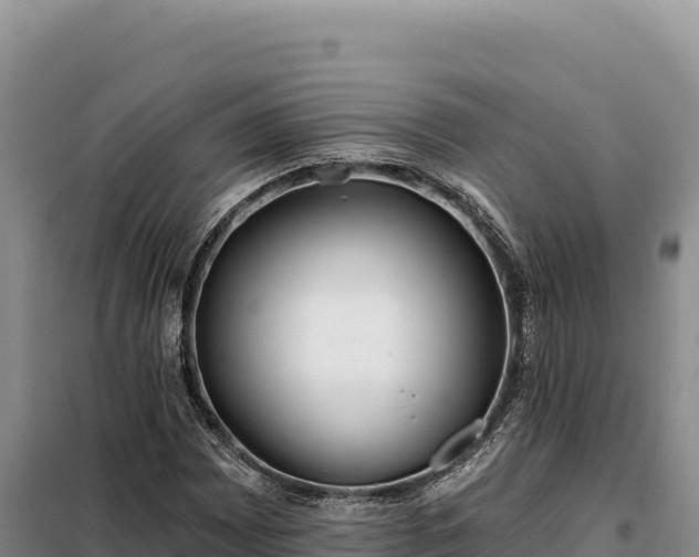 X0000099321065200805091036