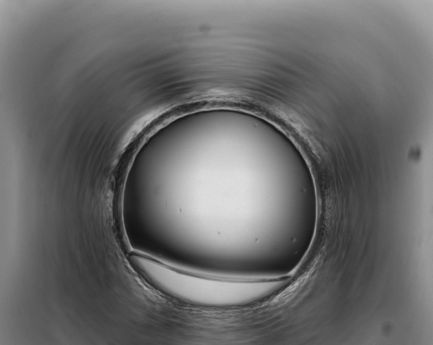 X0000099321066200805091036