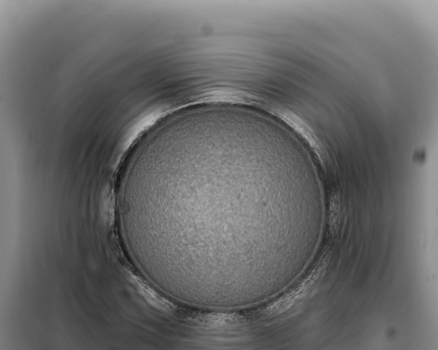 X0000099321067200805091036